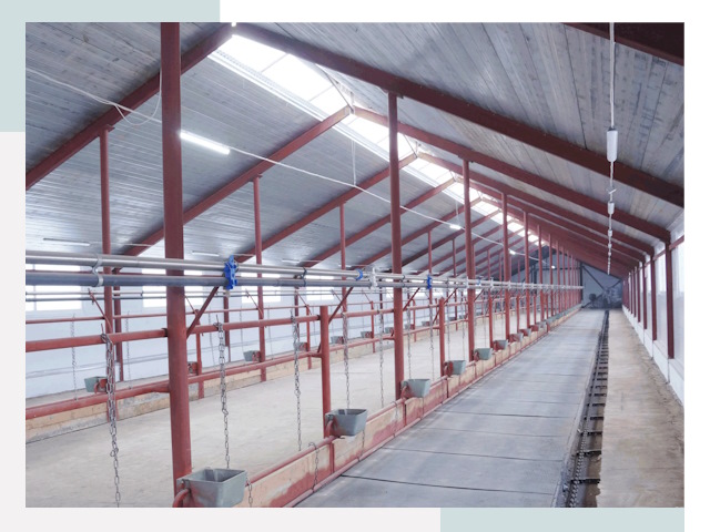 Строительство коровников в Сасове от 606 руб.