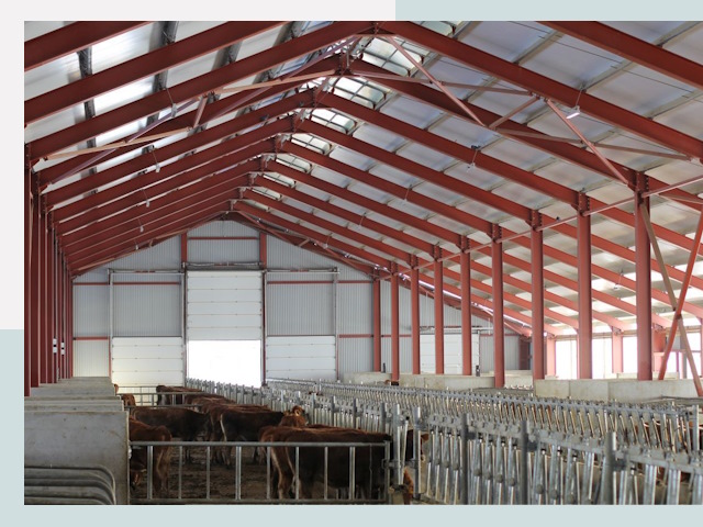 Строительство коровников в Сасове