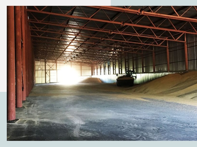 Строительство зернохранилищ в Сасове