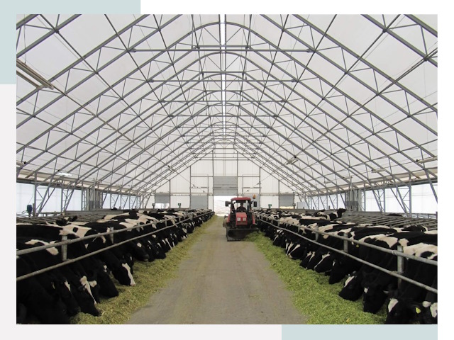 Тентовые коровники в Сасове от 606 руб. - Надежно и доступно