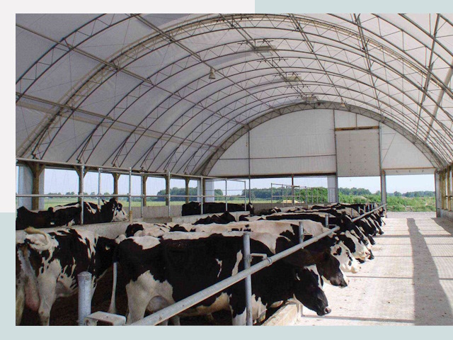 Тентовые коровники в Сасове